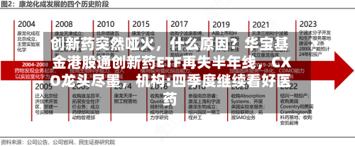 创新药突然哑火,什么原因?华宝基金港股通创新药ETF再失半年线,CXO龙头尽墨,机构:四季度继续看好医药-第2张图片