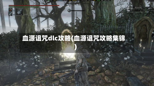 血源诅咒dlc攻略(血源诅咒攻略集锦)-第3张图片