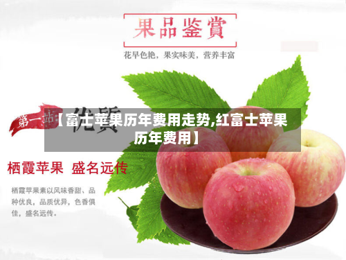 【富士苹果历年费用走势,红富士苹果历年费用】-第2张图片