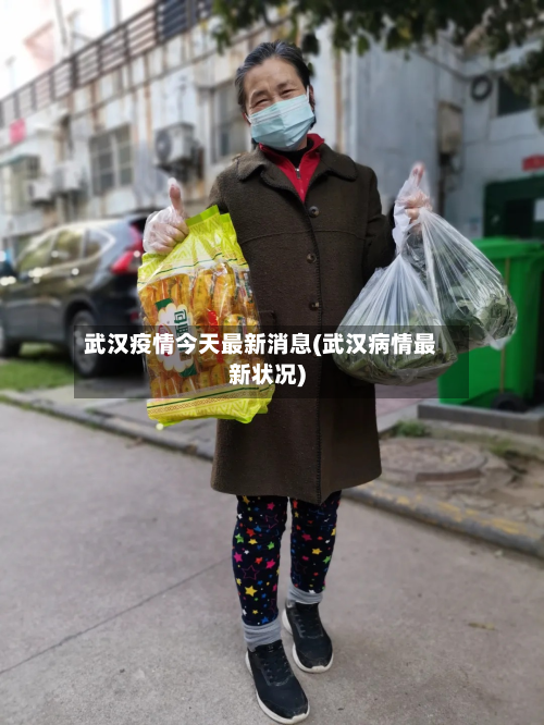 武汉疫情今天最新消息(武汉病情最新状况)-第3张图片