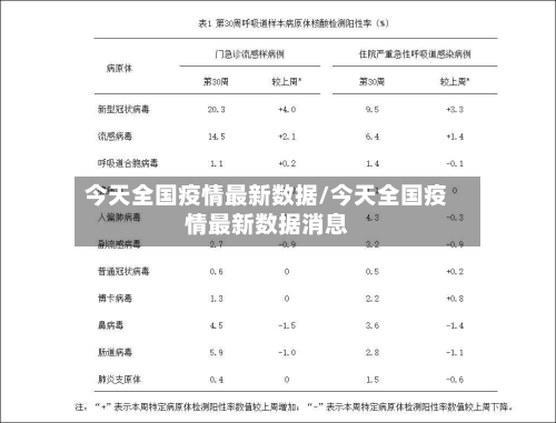 今天全国疫情最新数据/今天全国疫情最新数据消息-第3张图片