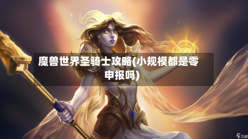 魔兽世界圣骑士攻略(小规模都是零申报吗)