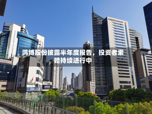 鸿博股份披露半年度报告，投资者索赔持续进行中
