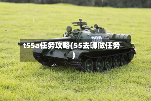 t55a任务攻略(55去哪做任务)-第3张图片