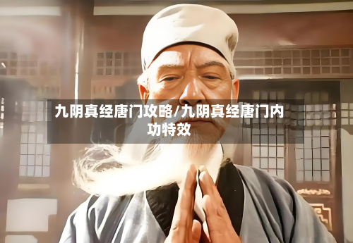 九阴真经唐门攻略/九阴真经唐门内功特效-第2张图片