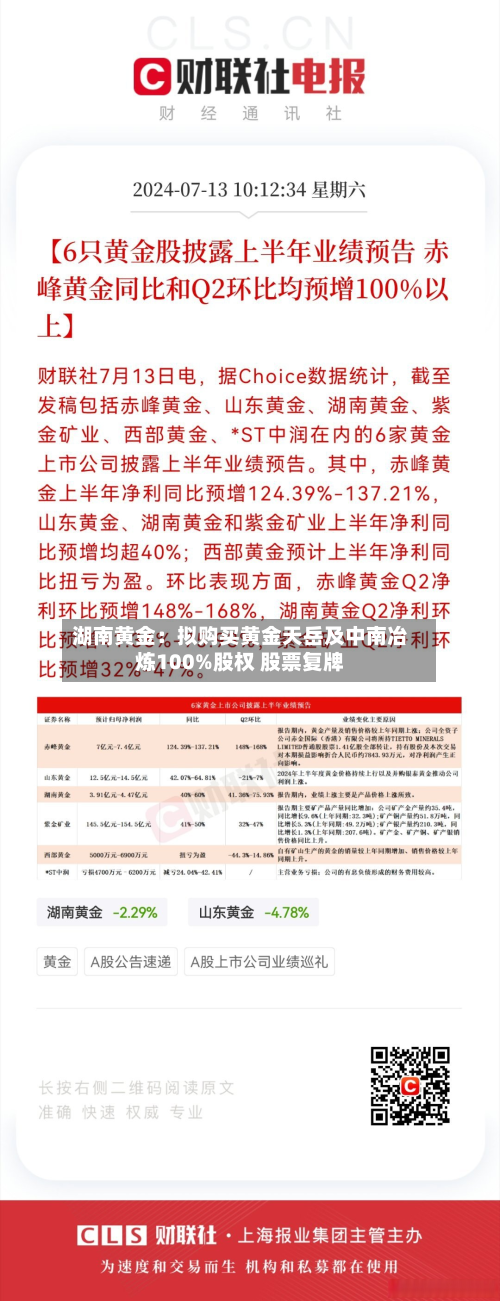 湖南黄金:拟购买黄金天岳及中南冶炼100%股权 股票复牌-第3张图片