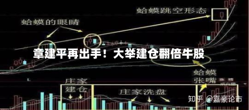 章建平再出手!大举建仓翻倍牛股-第2张图片