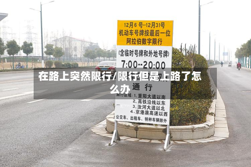 在路上突然限行/限行但是上路了怎么办