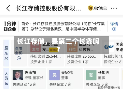 长江存储,是第二个长鑫吗?-第2张图片