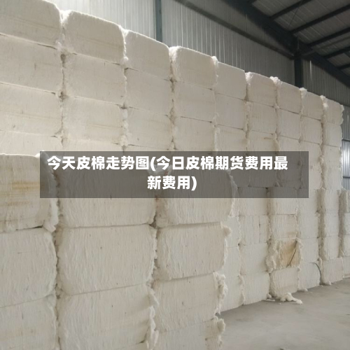 今天皮棉走势图(今日皮棉期货费用最新费用)-第2张图片