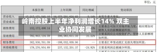 岭南控股上半年净利润增长14% 双主业协同发展-第3张图片