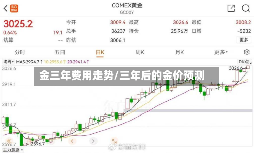 金三年费用走势/三年后的金价预测-第2张图片