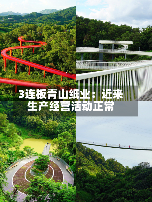 3连板青山纸业：近来生产经营活动正常-第2张图片