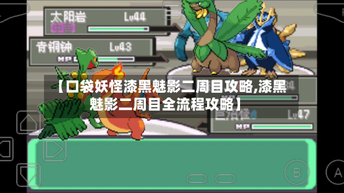 【口袋妖怪漆黑魅影二周目攻略,漆黑魅影二周目全流程攻略】-第3张图片
