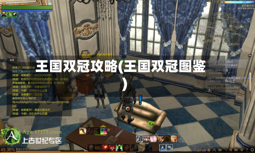 王国双冠攻略(王国双冠图鉴)