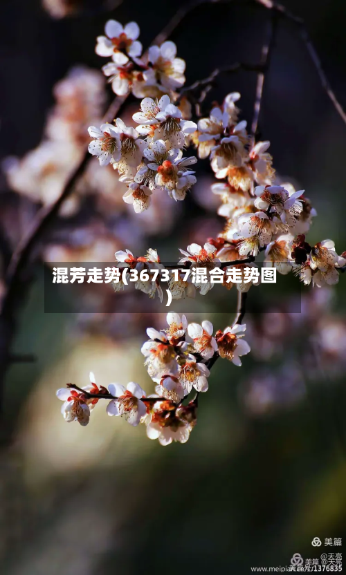 混芳走势(367317混合走势图)-第2张图片