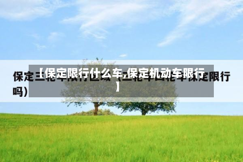 【保定限行什么车,保定机动车限行】-第2张图片
