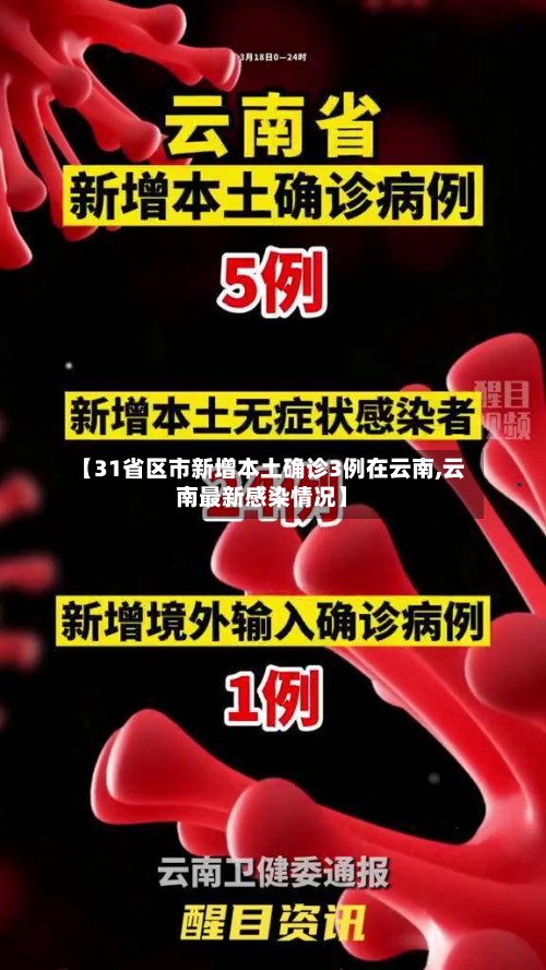 【31省区市新增本土确诊3例在云南,云南最新感染情况】-第2张图片
