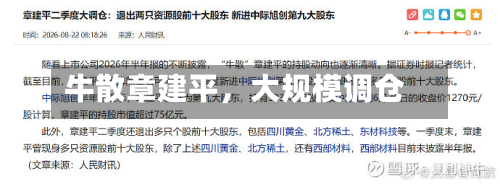 牛散章建平，大规模调仓-第2张图片