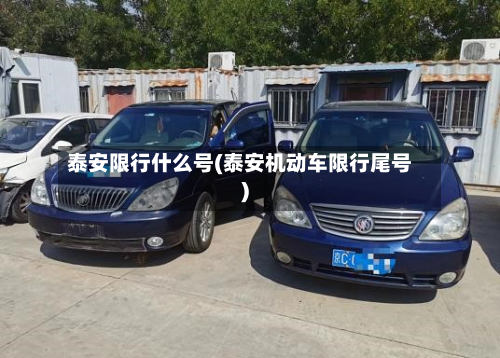 泰安限行什么号(泰安机动车限行尾号)-第3张图片