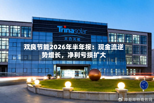 双良节能2026年半年报：现金流逆势增长，净利亏损扩大-第3张图片