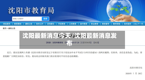沈阳最新消息今天/沈阳最新消息发布-第3张图片
