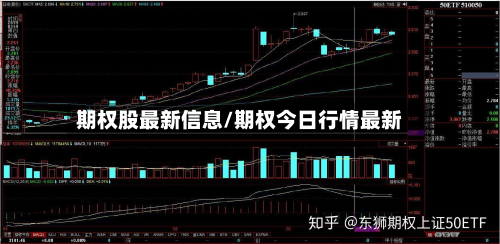 期权股最新信息/期权今日行情最新-第3张图片