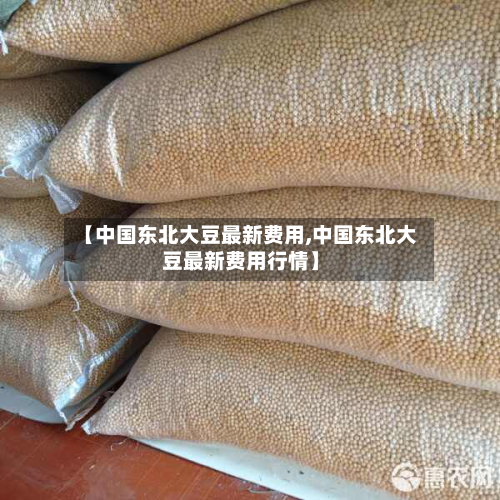 【中国东北大豆最新费用,中国东北大豆最新费用行情】