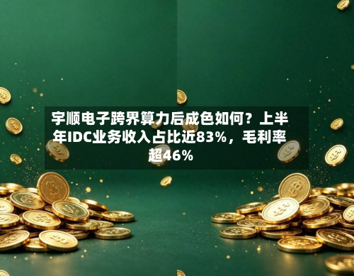宇顺电子跨界算力后成色如何?上半年IDC业务收入占比近83%,毛利率超46%-第3张图片