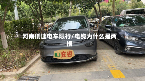 河南低速电车限行/电线为什么是两根