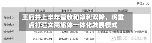 王府井上半年营收和净利双降，将重点打造文商旅体一体化发展模式