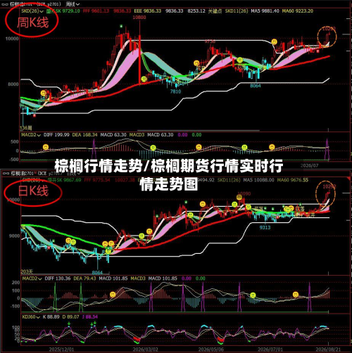 棕榈行情走势/棕榈期货行情实时行情走势图-第2张图片