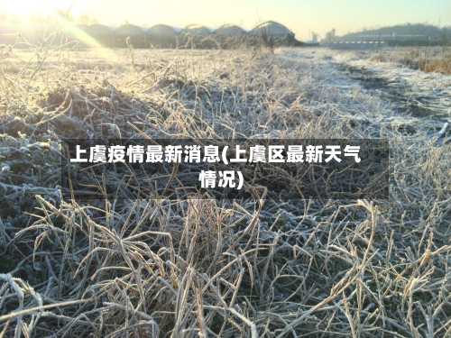 上虞疫情最新消息(上虞区最新天气情况)