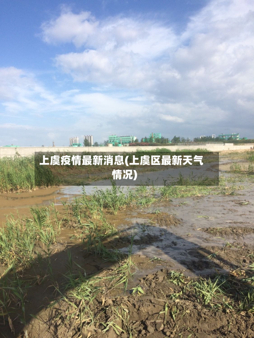 上虞疫情最新消息(上虞区最新天气情况)-第3张图片