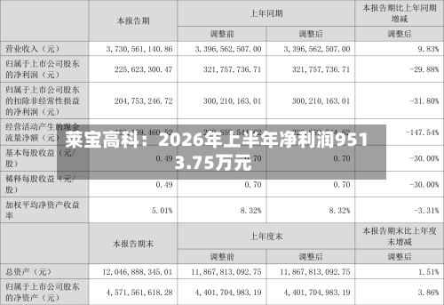 莱宝高科:2026年上半年净利润9513.75万元-第2张图片