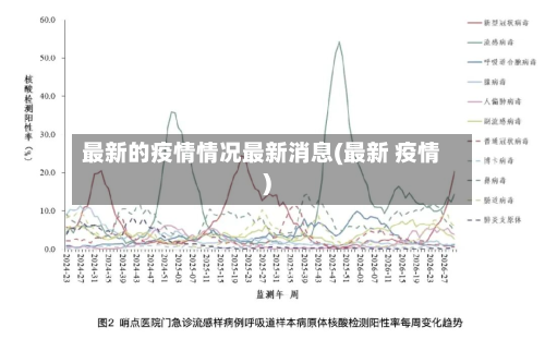 最新的疫情情况最新消息(最新 疫情)-第2张图片