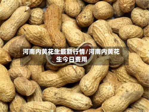 河南内黄花生最新行情/河南内黄花生今日费用-第2张图片