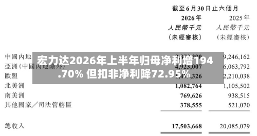 宏力达2026年上半年归母净利增194.70% 但扣非净利降72.95%-第2张图片