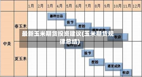 最新玉米期货投资建议(玉米期货规律总结)