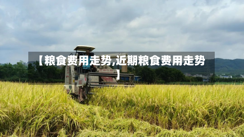 【粮食费用走势,近期粮食费用走势】