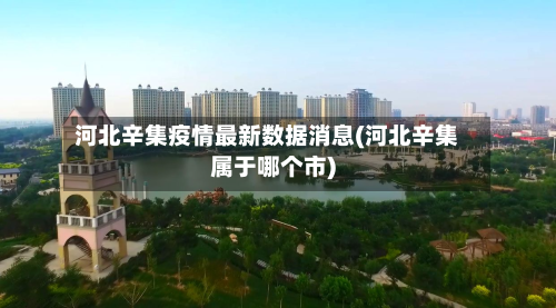 河北辛集疫情最新数据消息(河北辛集属于哪个市)
