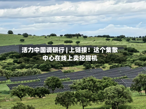 活力中国调研行 | 上链接！这个集散中心在线上卖挖掘机