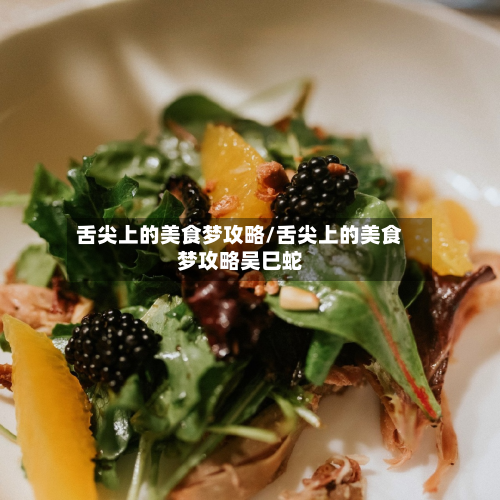 舌尖上的美食梦攻略/舌尖上的美食梦攻略吴巳蛇-第3张图片