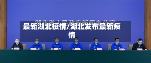 最新湖北疫情/湖北发布最新疫情-第2张图片