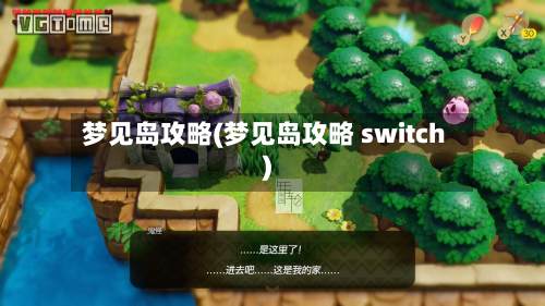 梦见岛攻略(梦见岛攻略 switch)
