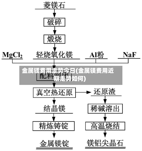 金属镁费用走势今日(金属镁费用近期走势如何)-第3张图片