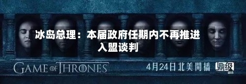 冰岛总理:本届政府任期内不再推进入盟谈判-第2张图片