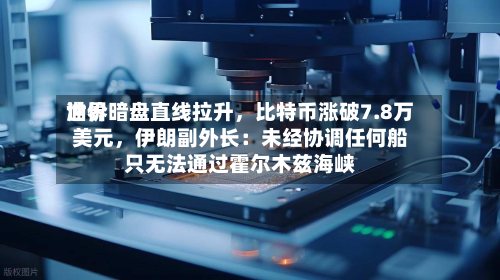 世界油价暗盘直线拉升，比特币涨破7.8万美元，伊朗副外长：未经协调任何船只无法通过霍尔木兹海峡