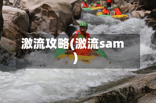 激流攻略(激流sam)-第2张图片