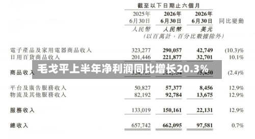毛戈平上半年净利润同比增长20.3%-第2张图片